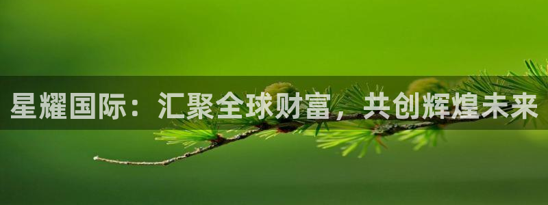 摩根娱乐：星耀国际：汇聚全球财富，共创辉煌未来