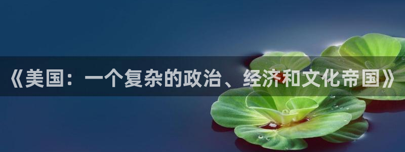 摩根娱乐官网版下载：《美国：一个复杂的政治、经济和文化帝国》