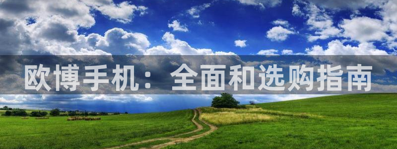 摩根娱乐官方网站：欧博手机：全面和选购指南