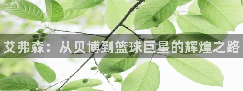 摩根娱乐3：艾弗森：从贝博到篮球巨星的辉煌之路