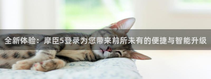 摩根娱乐平台注册入口：全新体验：摩臣5登录为您带来前所未有的便捷与智能升级
