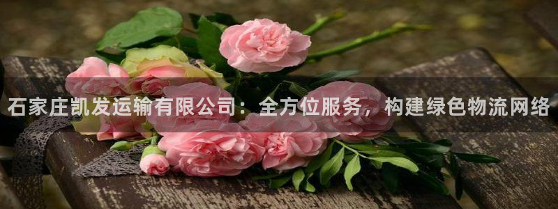 摩根娱乐加拿大在线预测：石家庄凯发运输有限公司：全方位服务，构建绿色物流网络