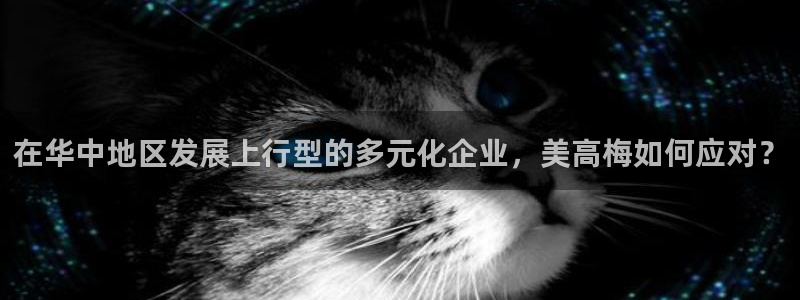 摩根娱乐是啥：在华中地区发展上行型的多元化企业，美高梅如何应对？