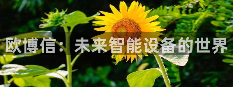 摩根娱乐主管：欧博信：未来智能设备的世界