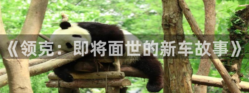 摩根娱乐在线下载：《领克：即将面世的新车故事》