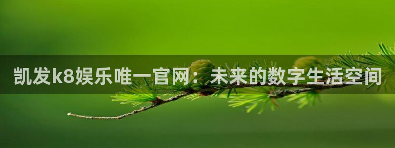 摩根娱乐平台在线注册：凯发k8娱乐唯一官网：未来的数字生活空间
