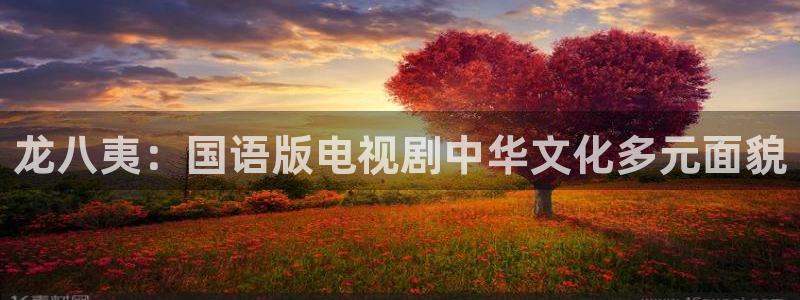 摩根娱乐凯捷开号链接：龙八夷：国语版电视剧中华文化多元面貌