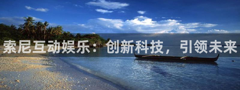 摩根娱乐平台：索尼互动娱乐：创新科技，引领未来
