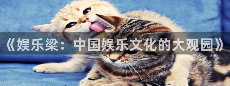 摩根娱乐4官网：《娱乐梁：中国娱乐文化的大观园》