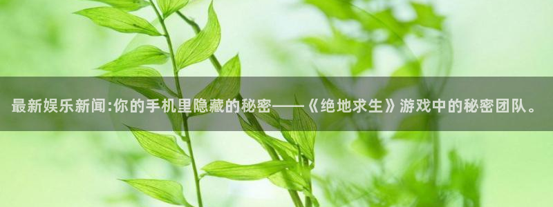 摩根娱乐怎么下载：最新娱乐新闻:你的手机里隐藏的秘密——《绝地求生》游戏中的秘密