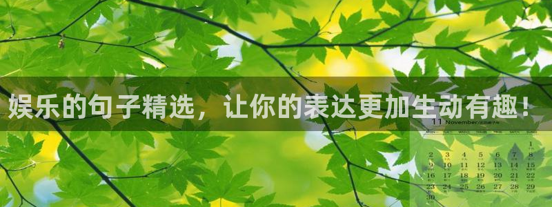 摩根娱乐平台官网入口下载：娱乐的句子精选，让你的表达更加生动有趣！
