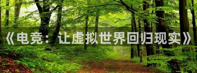 摩根娱乐f平台注册：《电竞：让虚拟世界回归现实》