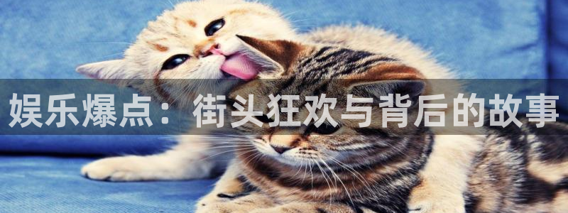 摩根娱乐招商：娱乐爆点：街头狂欢与背后的故事