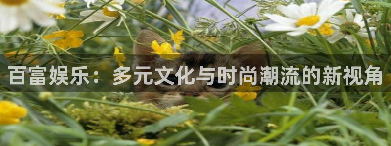 摩根娱乐环保：百富娱乐：多元文化与时尚潮流的新视角